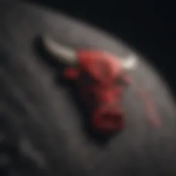 Iconic Chicago Bulls Logo Embroidery
