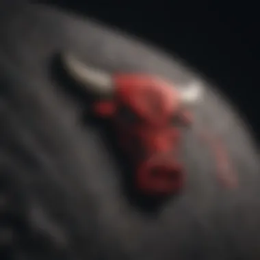Iconic Chicago Bulls Logo Embroidery