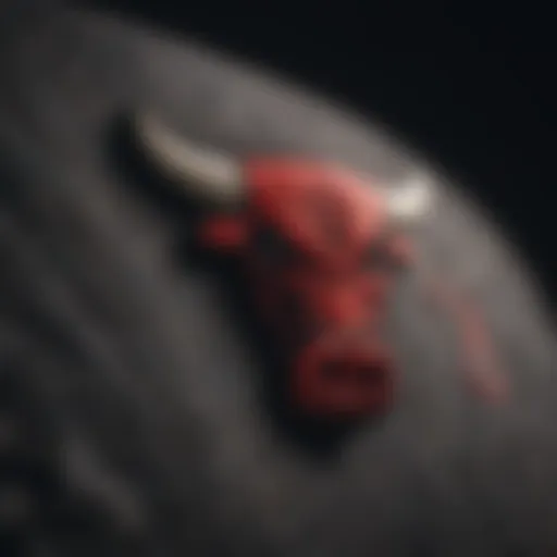 Iconic Chicago Bulls Logo Embroidery