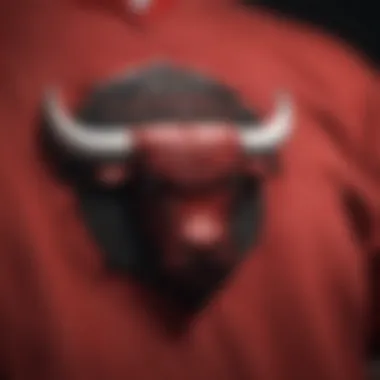 Symbol of Sporting Excellence Iconic Chicago Bulls Logo Shirt