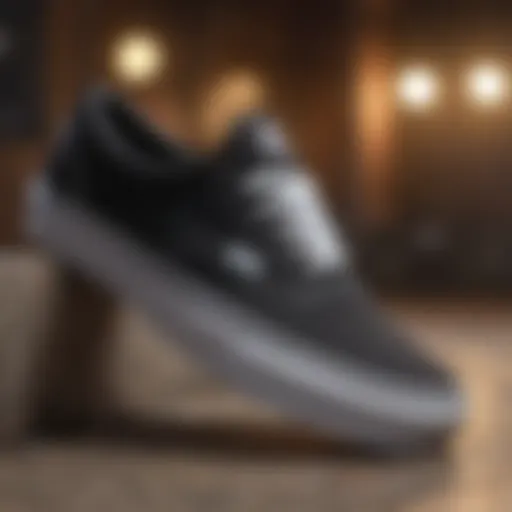 Iconic Vans Era Shoes in Timeless Black