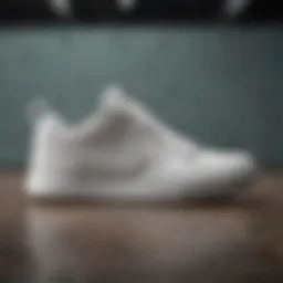 Innovative Design Elements of Nike SB Nyjah Free Summit White Sneakers