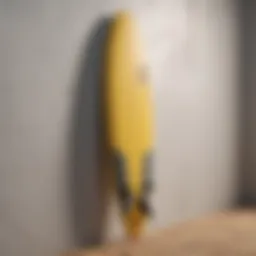 Innovative surfboard wall mount