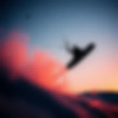 Insights into Kiteboard Companies: Crafting the Future of Extreme Sports Summary Insights into Kiteboard Companies: Crafting the Future of Extreme Sports Summary
