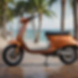 Innovative scooter and surfboard rack design