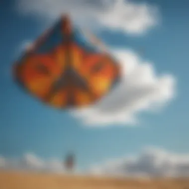 Masterful Kite Creations Adorning the Azure Sky Intricate Kite Designs Against Clear Blue Sky