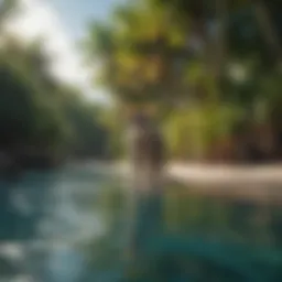 Lush tropical paradise on Cat Island Bahamas