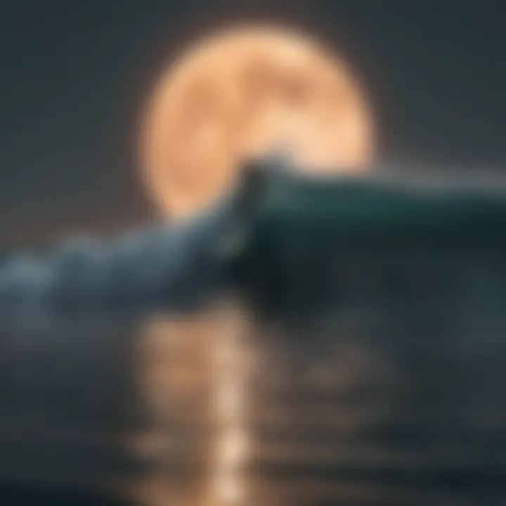 Aerial view of surfer riding a wave under a full moon