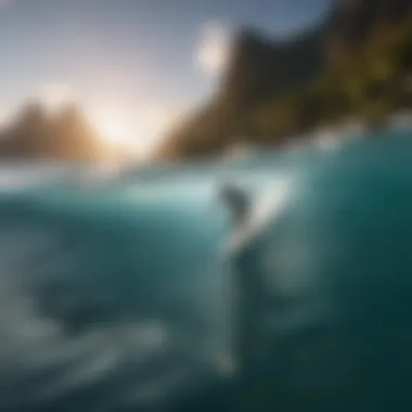 Surfer catching a wave in the crystal-clear waters near Moorea Surf Inn