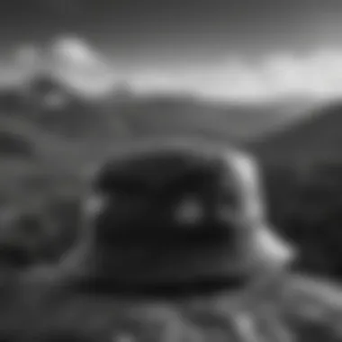 Black and white bucket hat on mountain peak backdrop