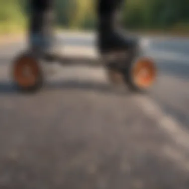 Artistic rendering of the fusion between nature and technology in single wheel skate design