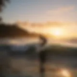 Surfer catching a wave during sunset