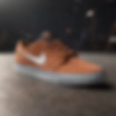 Performance Features of Nike SB Skate Shoes