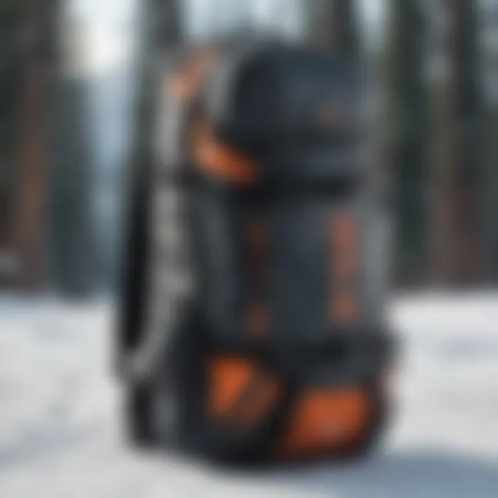 Snowboard bag with advanced storage features