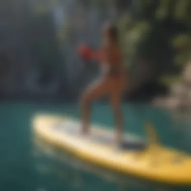 Variety of Paddle Boards for Every Adventurer Diverse types of paddle boards displayed together