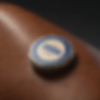 Transformative Effects of Saphir Crème Surfine on Leather Before and after Saphir Crème Surfine application on leather