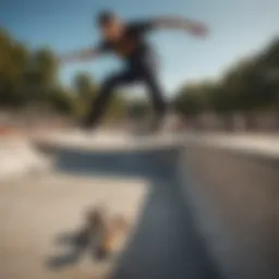 Skate Daddy Skatepark