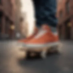 Skateboarding culture symbolized in Nike Stefan Janosky sneakers