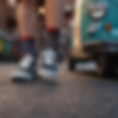 Stylish Vans Canoodle Socks Bargain