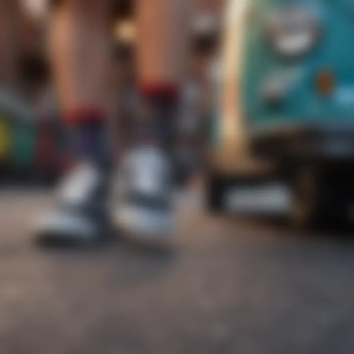 Stylish Vans Canoodle Socks Bargain
