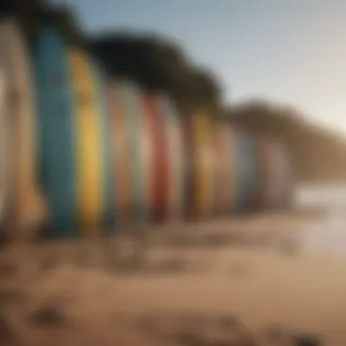 Different types of surfboards lined up on the beach