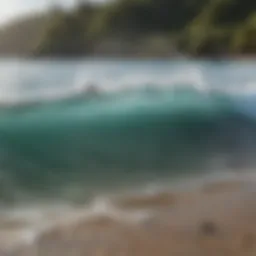 A serene beach with perfect waves for beginners