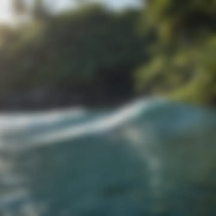 A picturesque surfing spot surrounded by lush greenery