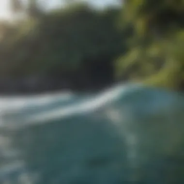 A Stunning Surfing Location in Fiji A picturesque surfing spot surrounded by lush greenery