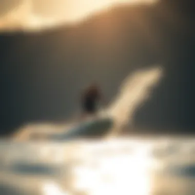 The Allure of Endless Summer Watersports Summary