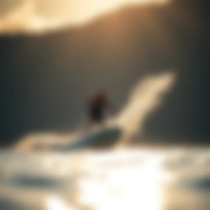 The Allure of Endless Summer Watersports Summary