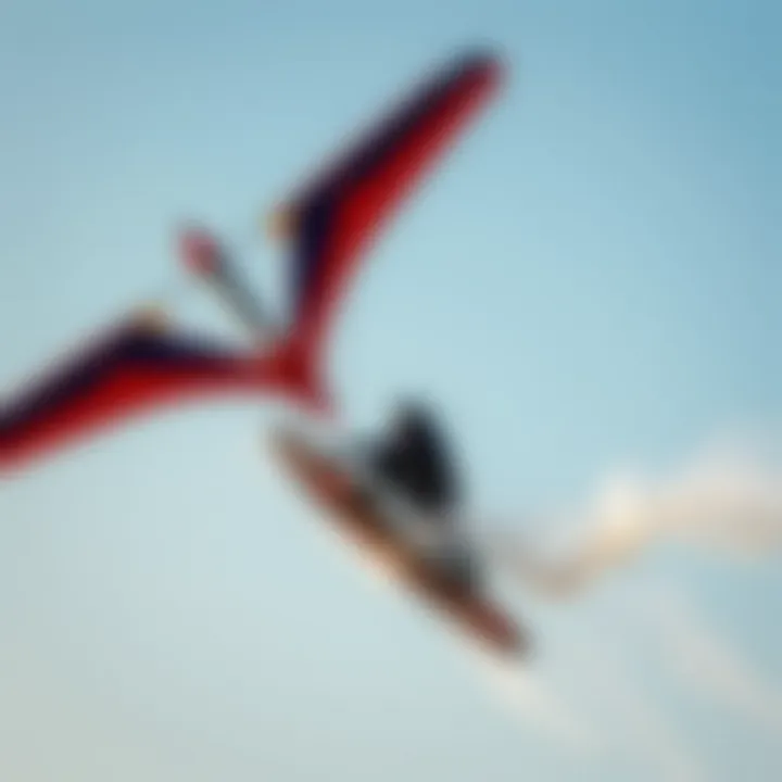 Notable The Art and Science of Wing Surfing