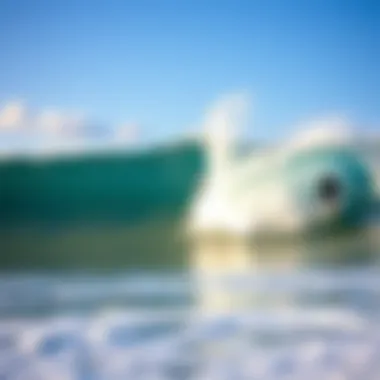 The Best Surfing Beaches in Florida Summary The Best Surfing Beaches in Florida Summary