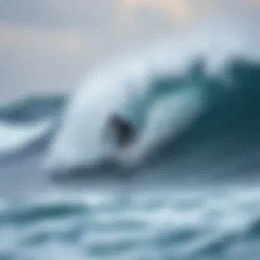 The Optimal Surfing Hat: A Comprehensive Guide Summary