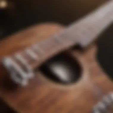 Ukulele fretboard with tuner in hand