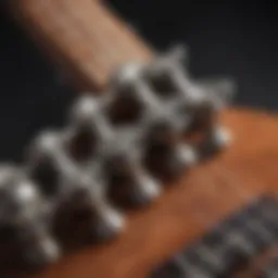 Exquisite ukulele tuning pegs close-up
