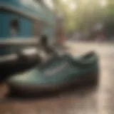 Eco-Friendly Shoe Cleaning Solution for Vans