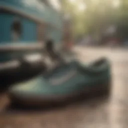 Eco-Friendly Shoe Cleaning Solution for Vans