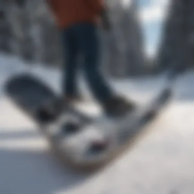 A side-by-side comparison of traditional and fish tail snowboard designs