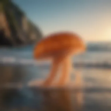 Awareness of Jellyfish Hazards A serene beach scene highlighting warning signs for jellyfish presence