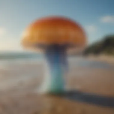 Natural Remedies for Jellyfish Stings A collection of natural remedies for jellyfish stings displayed on a beach setting