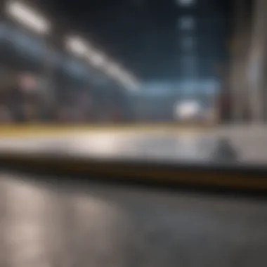 Comparative Analysis of Skatelite vs Alternatives Comparison of Skatelite and alternative skating surfaces