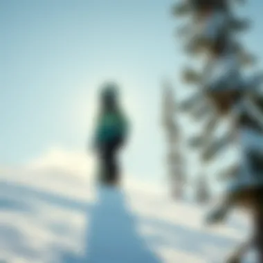 Notable Understanding the Directional Twin Snowboard