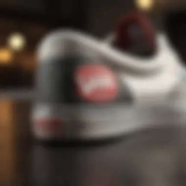 Detailed shot of iconic Vans logo on heel