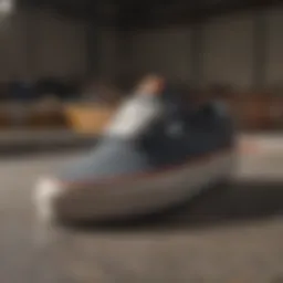 Vans La Costa skate shoes on a ramp