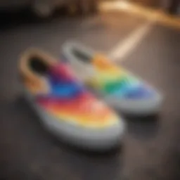 Colorful Vans Slip-On Shoes