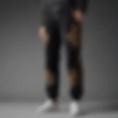 Embroidered Velvet XL Sweatpants Velvet XL sweatpants with intricate embroidery details