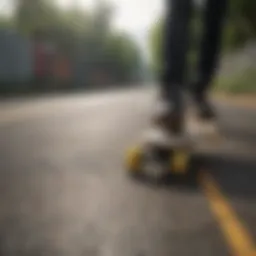 Different types of longboards arranged for comparison